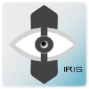IRIS Language